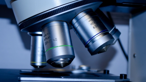 Priests and Healthcare